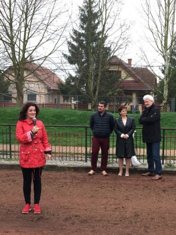 Nárcisz futás 2017 09